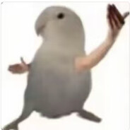 Rongyideyi