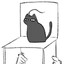 yalin's avatar