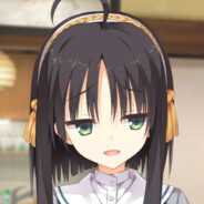 不爱喝咖啡的猫