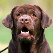 Leon.ada - steam id 76561197961200085