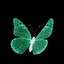 Green butterfly