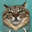 meowz0r
