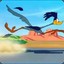 The Road Runner