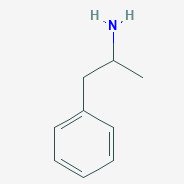 Doktora