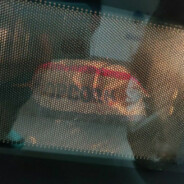 一起去看海好不好