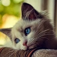 India power Jai Hind!