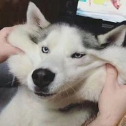 她一女孩子怎能守住B