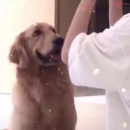 想想茄子会怎么做