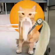 你这太性情了兄弟