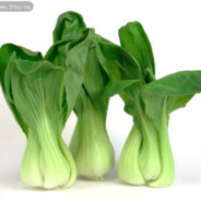 炒出美味菜出鲜