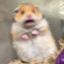 sᴋʀᴏʙɪsᴢᴇᴋ