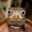 Hi iam Herbert