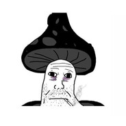 Я чувств монстер