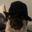 StealthPug1