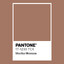 PANTONE 17-1230