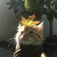 Avatar snapshot
