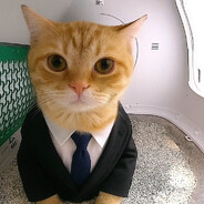 chipsa - steam id 76561199637077124