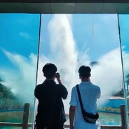 风吹花落我还在