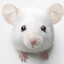 Dickie Mouse