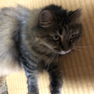 タケちゃん