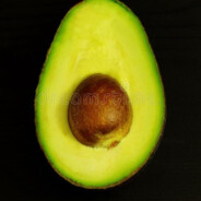 Avocadosaurus