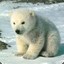 LogieBear&lt;3