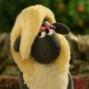 Барашка Шона