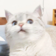 少熬夜 对电脑不好