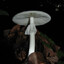 Basidiomycota