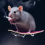 cool mouse smoking a cigarette