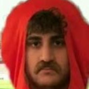 IchHabGarnichtsGemacht