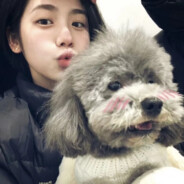 他即巅峰也是劫