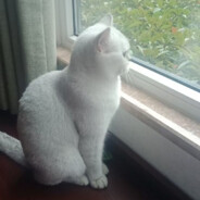 下等马只配田忌吧