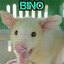 BINO