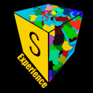 Simulator Experience