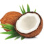 Coconut