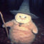 fat cat with wizard hat