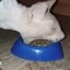 MONCH
