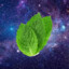GalaxyMint