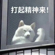 八十岁清纯男高