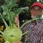 Kohlrabi Karl