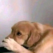 电瓶车弹射起步