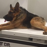 Nilbi - steam id 76561197970858046
