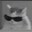 MEOWPOW