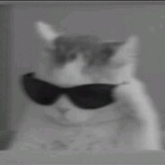 MEOWPOW