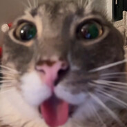 Sir PussyCat