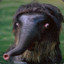 waranteater