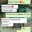 NcDark16