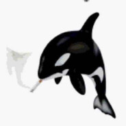 ock