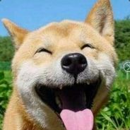 真相才是快刀